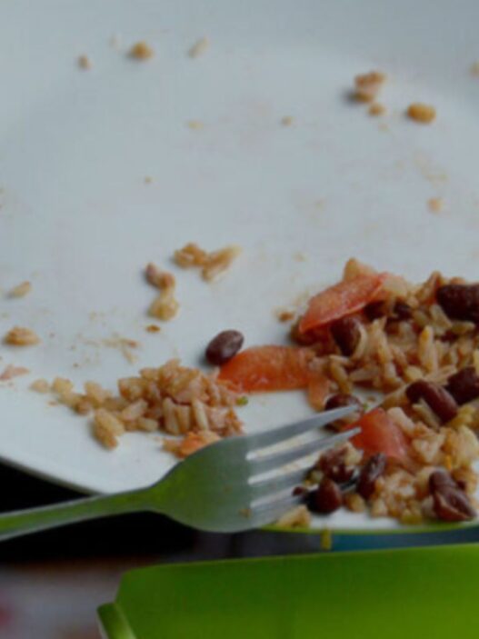 Los Trastornos de la Conducta Alimentaria como la anorexia y bulimia crecen en universitarios por el estrés académico y la mala nutrición. (Foto: SESAN / AUN)