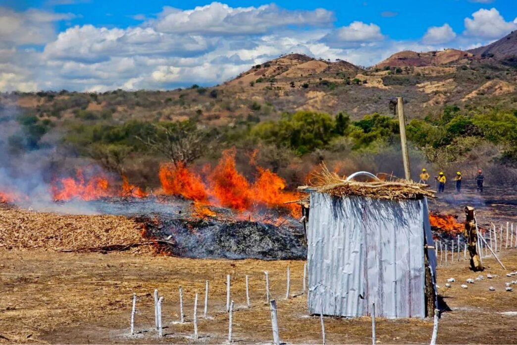 En lo que va del año, Guatemala registra 975 incendios forestales que han devastado 3,400 hectáreas de bosques mixtos y latifoliados. (Foto: INAB / AUN)