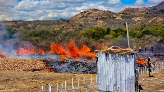 En lo que va del año, Guatemala registra 975 incendios forestales que han devastado 3,400 hectáreas de bosques mixtos y latifoliados. (Foto: INAB / AUN)
