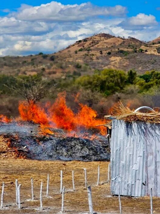 En lo que va del año, Guatemala registra 975 incendios forestales que han devastado 3,400 hectáreas de bosques mixtos y latifoliados. (Foto: INAB / AUN)