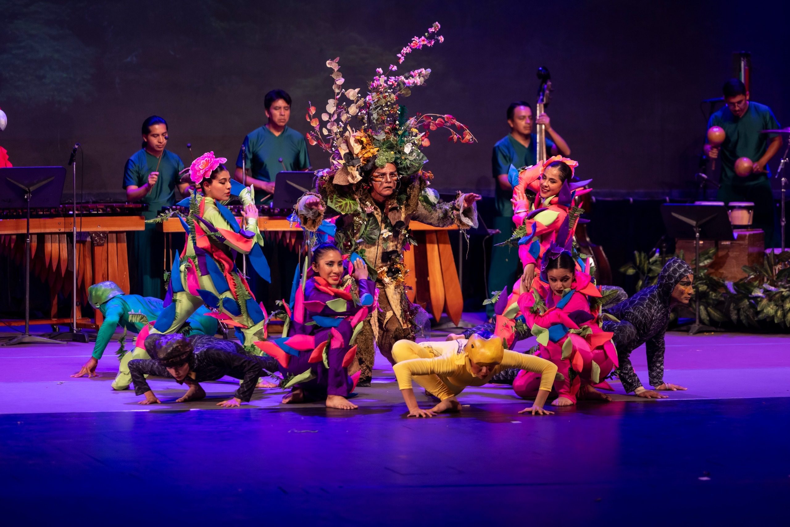 Especialistas destacan la necesidad de mayores espacios y apoyo del público para fortalecer la formación de bailarines profesionales y el movimiento dancístico nacional. (Foto: MCD / AUN)