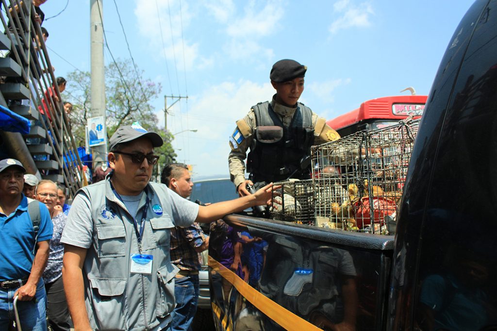 Con el lanzamiento de la UBApp, los ciudadanos cuentan con una herramienta digital para denunciar crueldad, negligencia y tráfico de especies ante la PNC. (Foto: UBA / AUN)