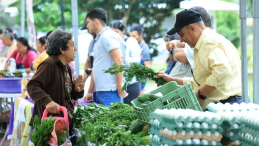 Los mercados comunales se consolidan como el pilar de la economía familiar en Guatemala ante el incremento en los precios de la canasta básica alimentaria. (Foto: AGN / AUN)