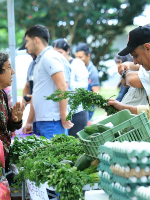 Los mercados comunales se consolidan como el pilar de la economía familiar en Guatemala ante el incremento en los precios de la canasta básica alimentaria. (Foto: AGN / AUN)