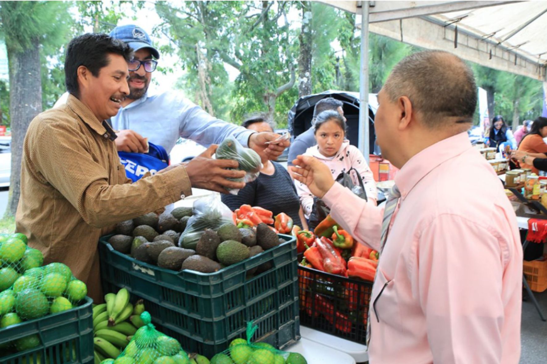 La flexibilidad de comprar por unidad y la posibilidad de comparar costos permiten a los hogares guatemaltecos un consumo racional frente a la inflación actual. (Foto: AGN / AUN)