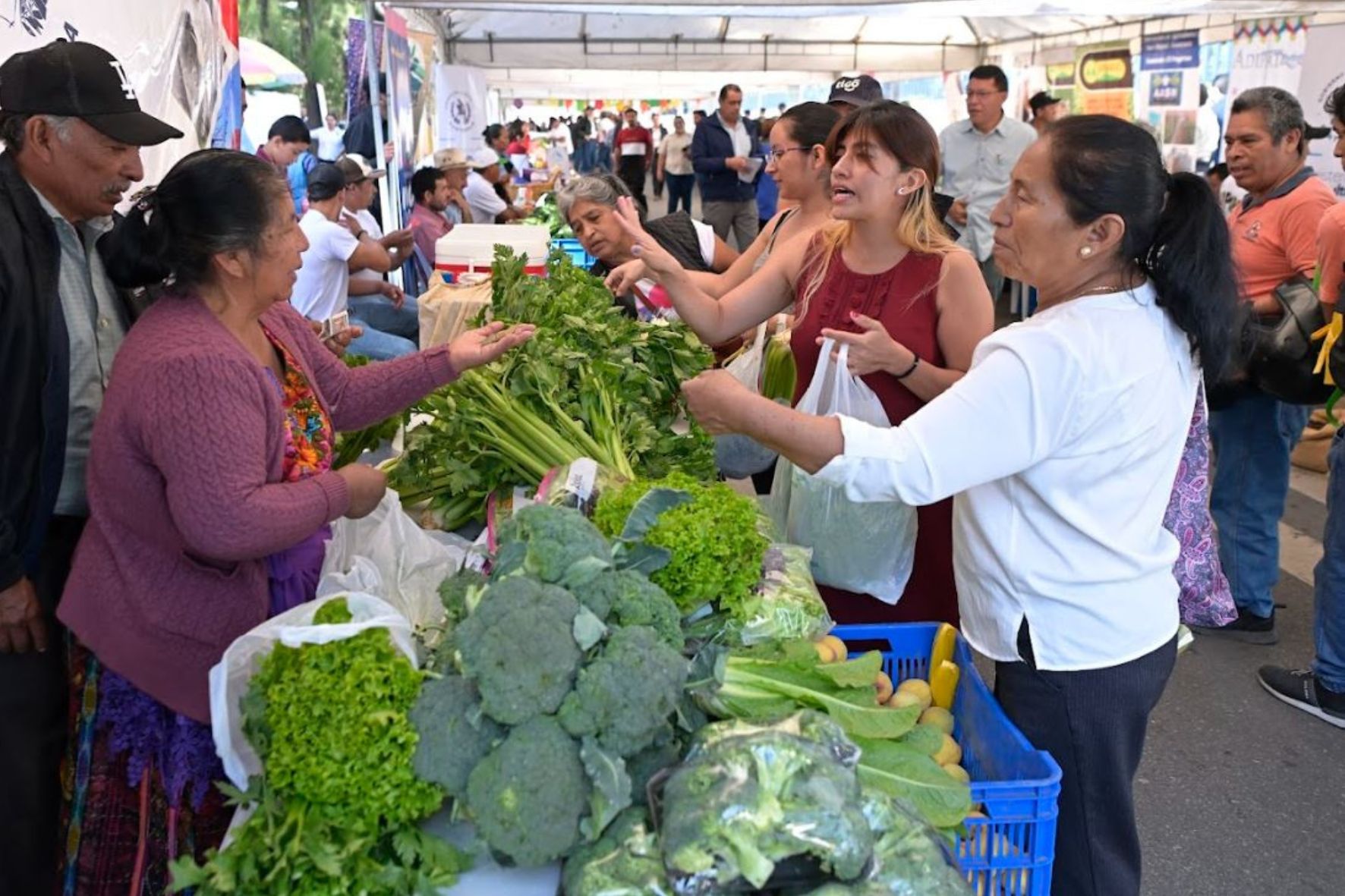 Los hogares guatemaltecos priorizan la compra en los mercados debido a su flexibilidad. (Foto: AGN / AUN)