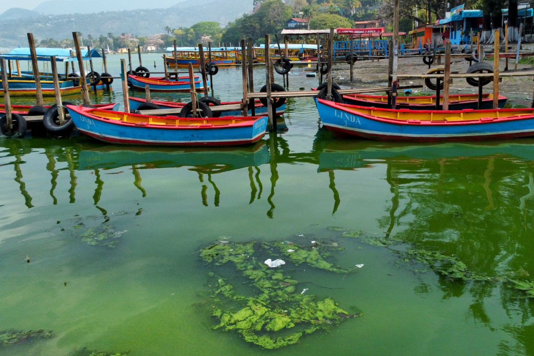 Esta tecnología avanzada utiliza nanoburbujas de oxígeno y ozono para eliminar bacterias y contaminantes orgánicos, con el objetivo de restaurar el ecosistema acuático. (Foto: Kélita Pérez / AUN)
