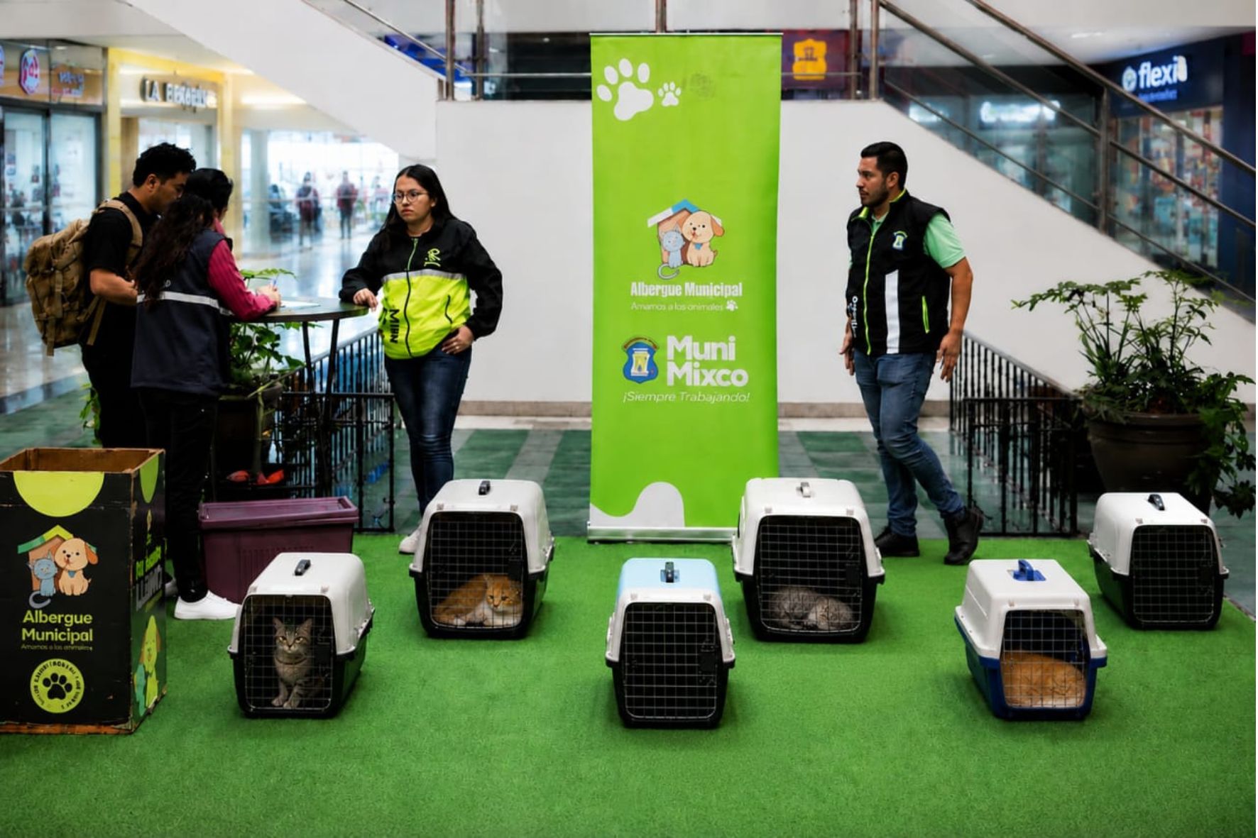 La adopción responsable de perros y gatos rescatados por la Unidad de Bienestar Animal contribuye a brindarles un hogar seguro. (Foto: Lesly Morales / AUN)