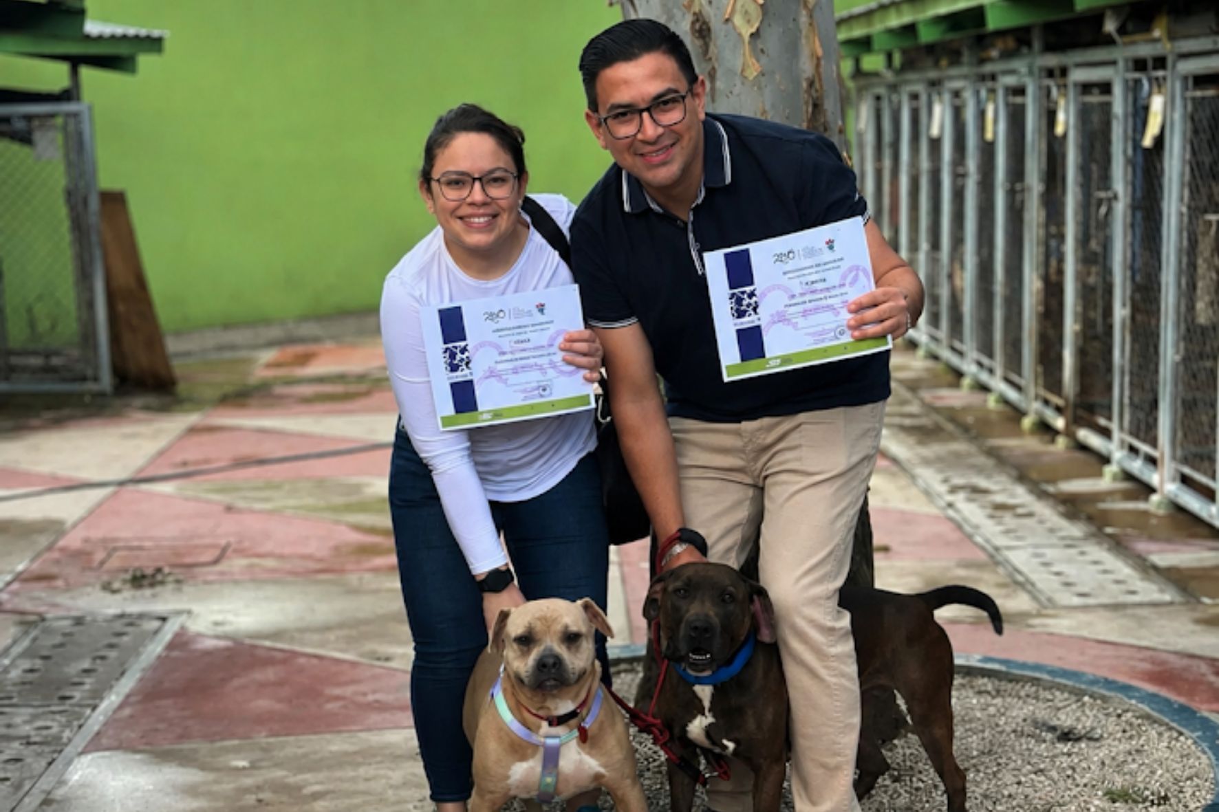Andrea López y Carlos Méndez junto a los perros que adoptaron tras completar el proceso de evaluación. (Foto: Lesly Morales / AUN) 
