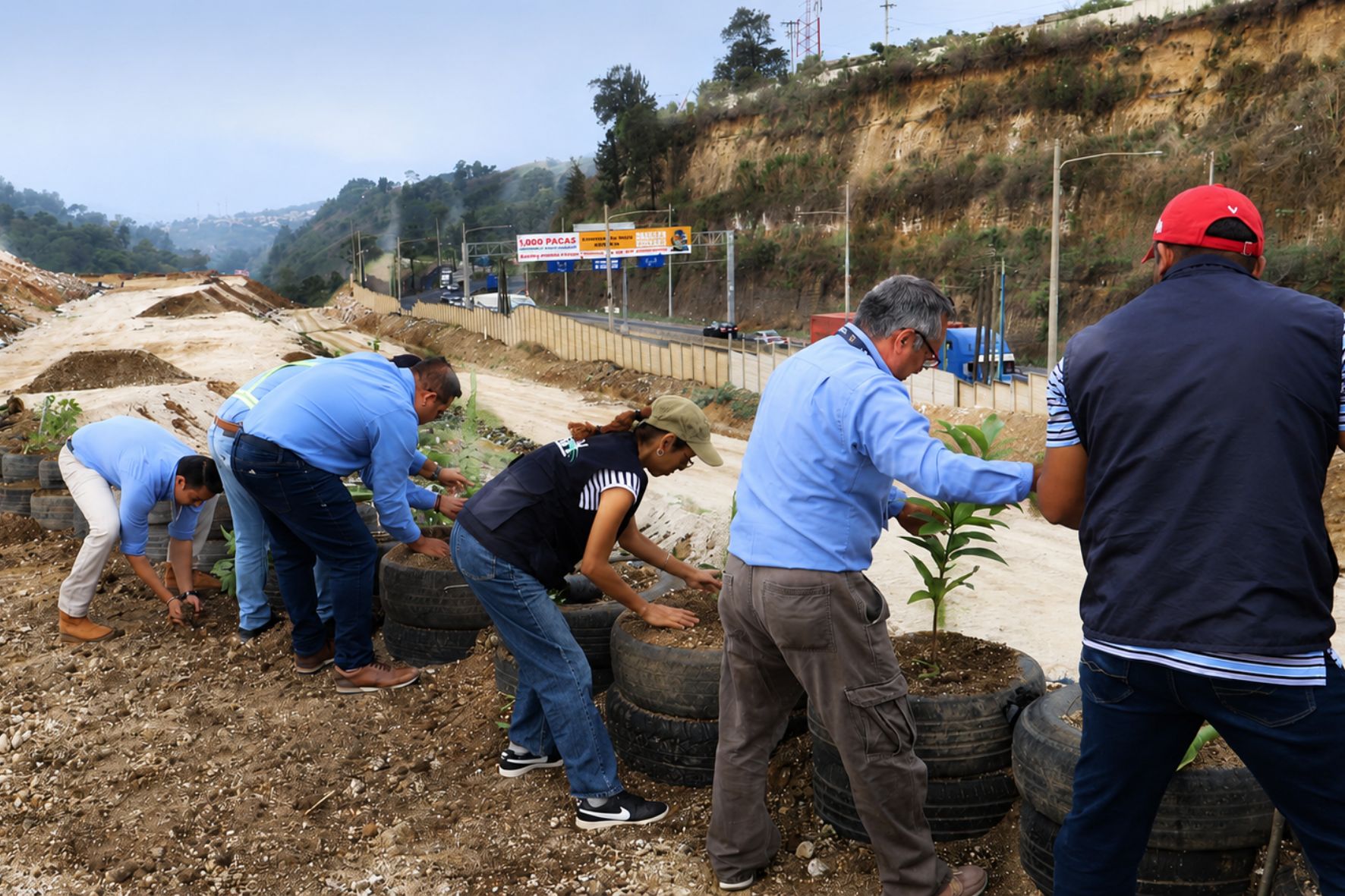 Las labores de revegetación forman parte de las acciones ambientales contempladas para reducir impactos tras el cierre del vertedero del kilómetro 22. (Foto: AMSA / AUN)