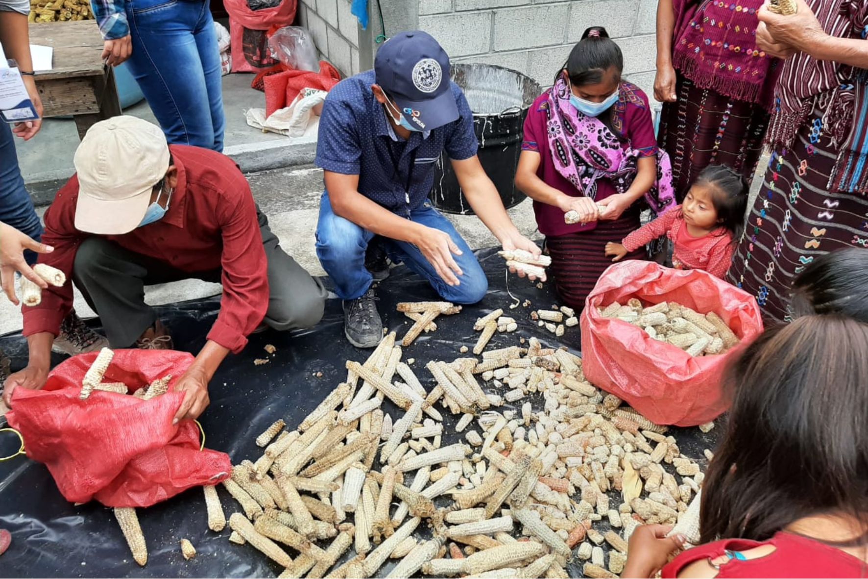 Cosechas realizadas por las comunidades gracias al programa de huerto familiar. (Foto: EPSUM / AUN)