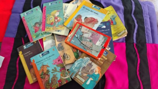 La literatura infantil y juvenil en Guatemala es vital para el desarrollo cognitivo y la formación de nuevos lectores. (Foto: Alisson Seijas / AUN)