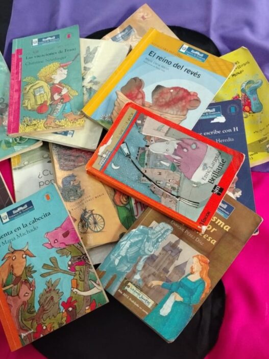 La literatura infantil y juvenil en Guatemala es vital para el desarrollo cognitivo y la formación de nuevos lectores. (Foto: Alisson Seijas / AUN)