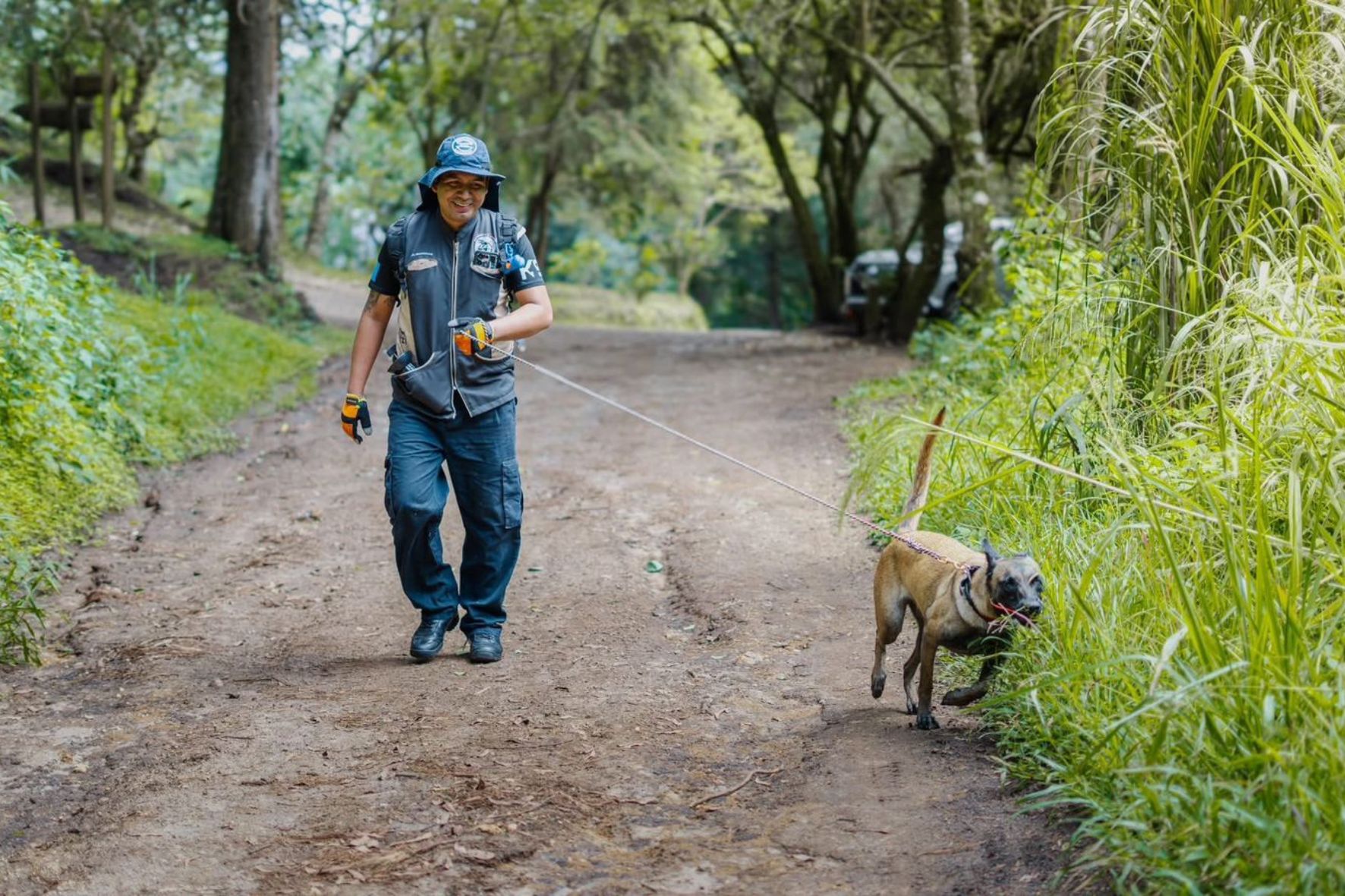 Los perros reciben entrenamiento una o dos veces por semana, durante varias horas. (Foto: Bomberos Municipales / AUN)