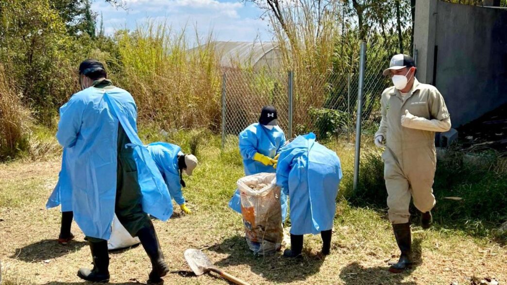 La Facultad de Medicina Veterinaria y Zootecnia de la USAC lidera un innovador proyecto de compostaje animal en Guatemala. (Foto: FMVZ / AUN)
