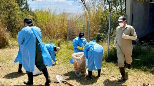 La Facultad de Medicina Veterinaria y Zootecnia de la USAC lidera un innovador proyecto de compostaje animal en Guatemala. (Foto: FMVZ / AUN)