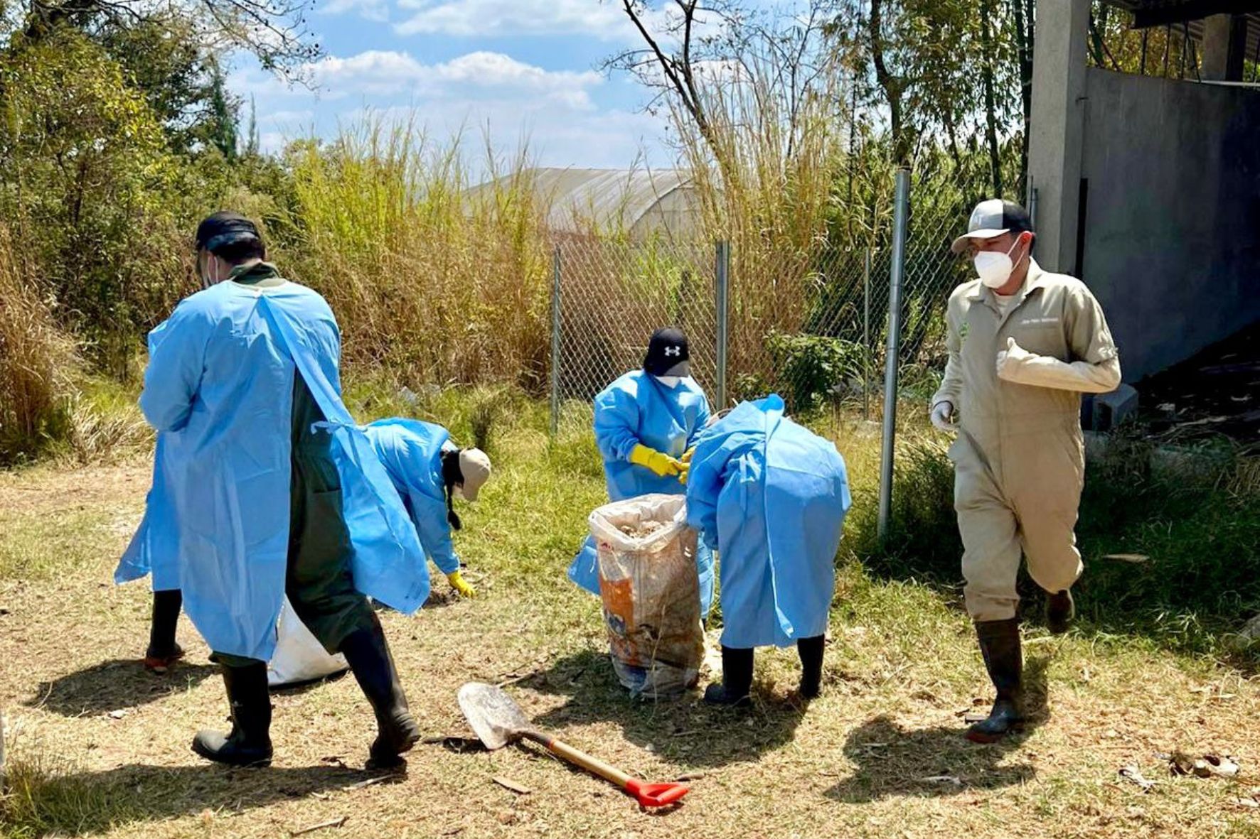 La Facultad de Medicina Veterinaria y Zootecnia de la USAC lidera un innovador proyecto de compostaje animal en Guatemala. (Foto: FMVZ / AUN)