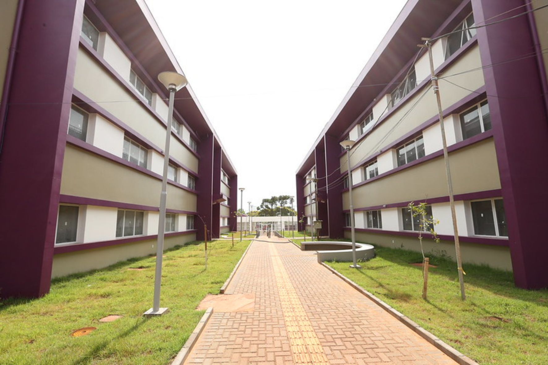 La Universidad de la Integración Latinoamericana (UNILA) abre sus puertas con becas para guatemaltecos en Brasil, ofreciendo educación gratuita en 29 carreras de pregrado. (Foto: Cortesía / AUN)