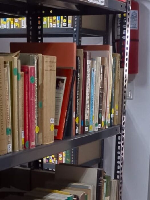 La Biblioteca Rivera Tyng, de la Fundación La Ruta Maya, resguarda más de 10 mil libros sobre arqueología e historia. (Foto: Diego Bermúdez / AUN)
