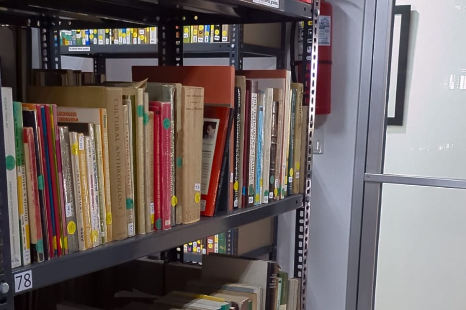 La Biblioteca Rivera Tyng, de la Fundación La Ruta Maya, resguarda más de 10 mil libros sobre arqueología e historia. (Foto: Diego Bermúdez / AUN)