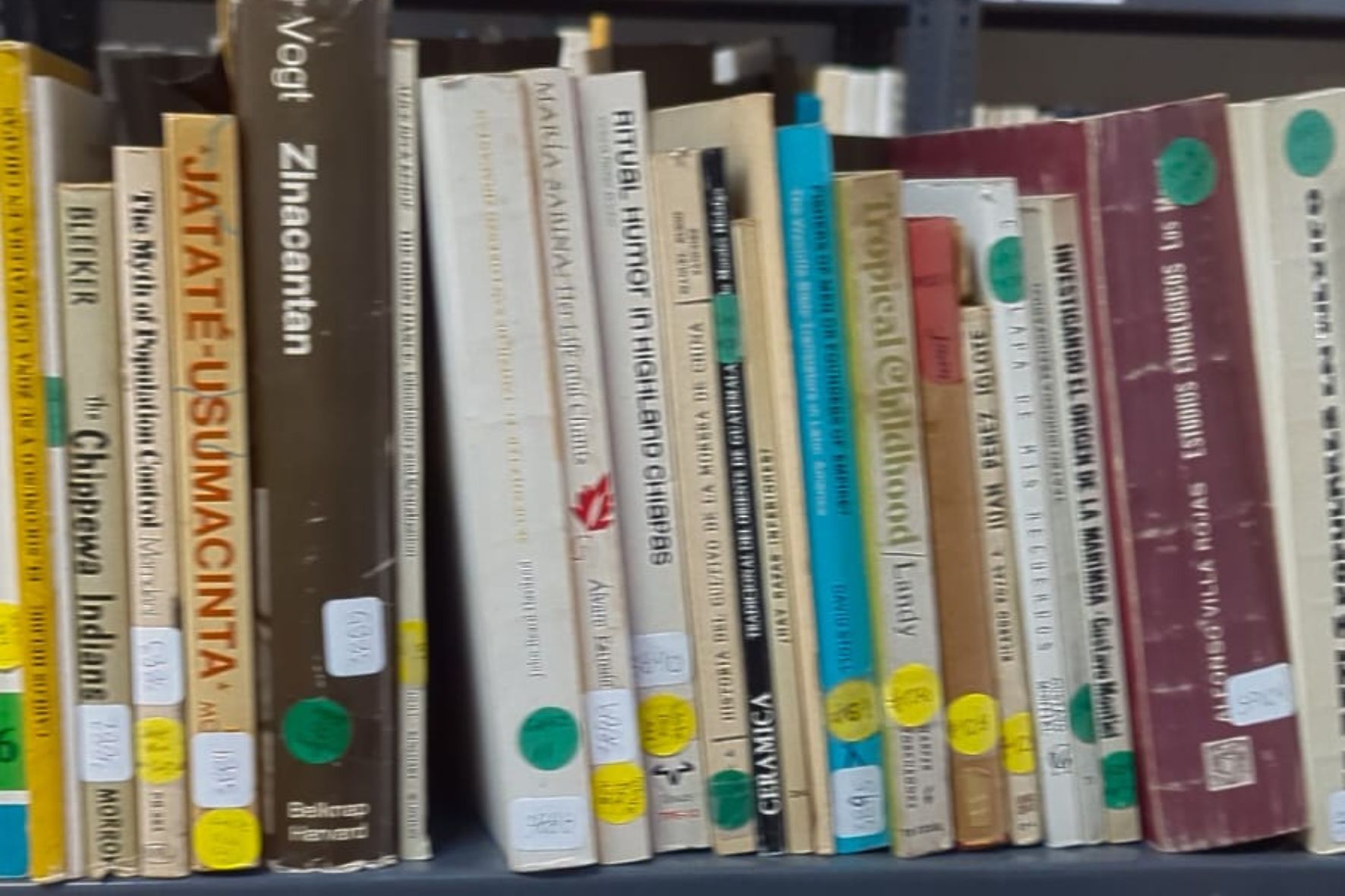 La Biblioteca Rivera Tyng se consolida como un centro vital para la conservación del patrimonio cultural de Guatemala. (Foto: Diego Bermúdez / AUN)