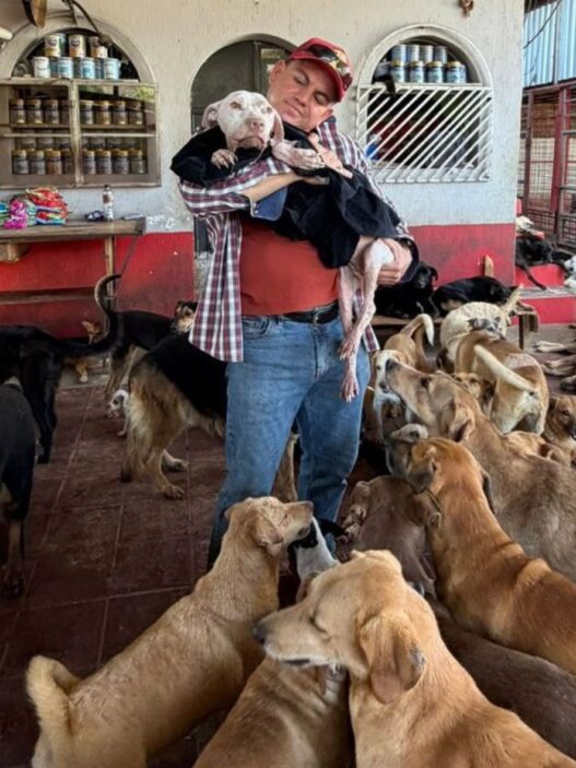 En Guatemala, el abandono de perros y el maltrato animal han puesto a los refugios en una crisis operativa sin precedentes. (Foto: Refugio Corazones Jutiapanecos / AUN)