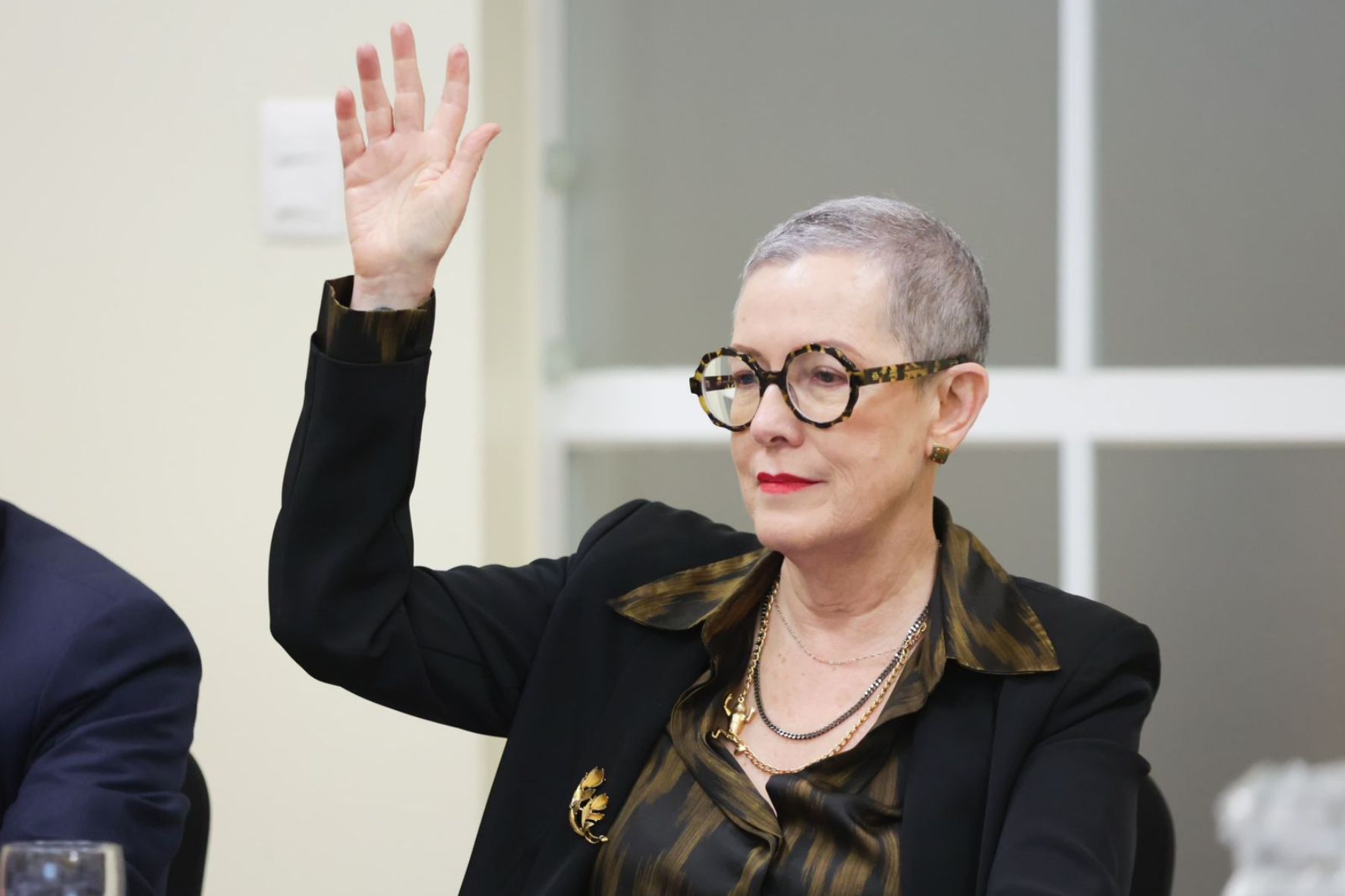 Elizabeth Ugalde Miranda, viceministra de Desarrollo de la Micro, Pequeña y Mediana Empresa, explicó que el Ministerio de Economía promueve una política para el acceso a crédito para los emprendedores. (Foto: MINECO / AUN)
