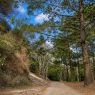 Los parques ecológicos en la Ciudad de Guatemala, incluyendo áreas en zona 16 y zona 18, son espacios clave para reducir el estrés y mejorar la salud de los vecinos. (Foto: Allison Bonilla / AUN)