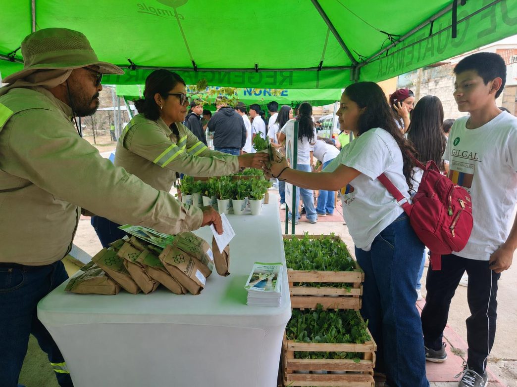 La Mega Reforestación Municipal en Guatemala avanza con la meta de plantar 2,300 árboles para 2026. (Foto: Allison Bonilla / AUN)
