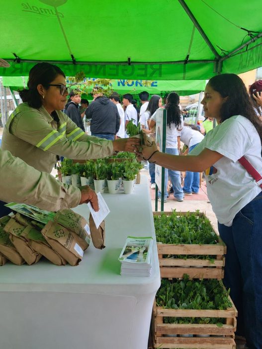 La Mega Reforestación Municipal en Guatemala avanza con la meta de plantar 2,300 árboles para 2026. (Foto: Allison Bonilla / AUN)