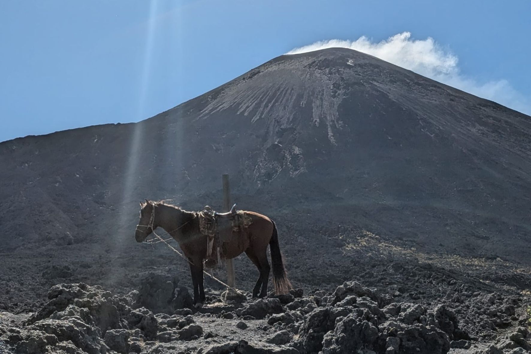 Caballo usado para el transporte de pasajeros en volcán de Pacaya. (Foto: Diego Bermudez / AUN)