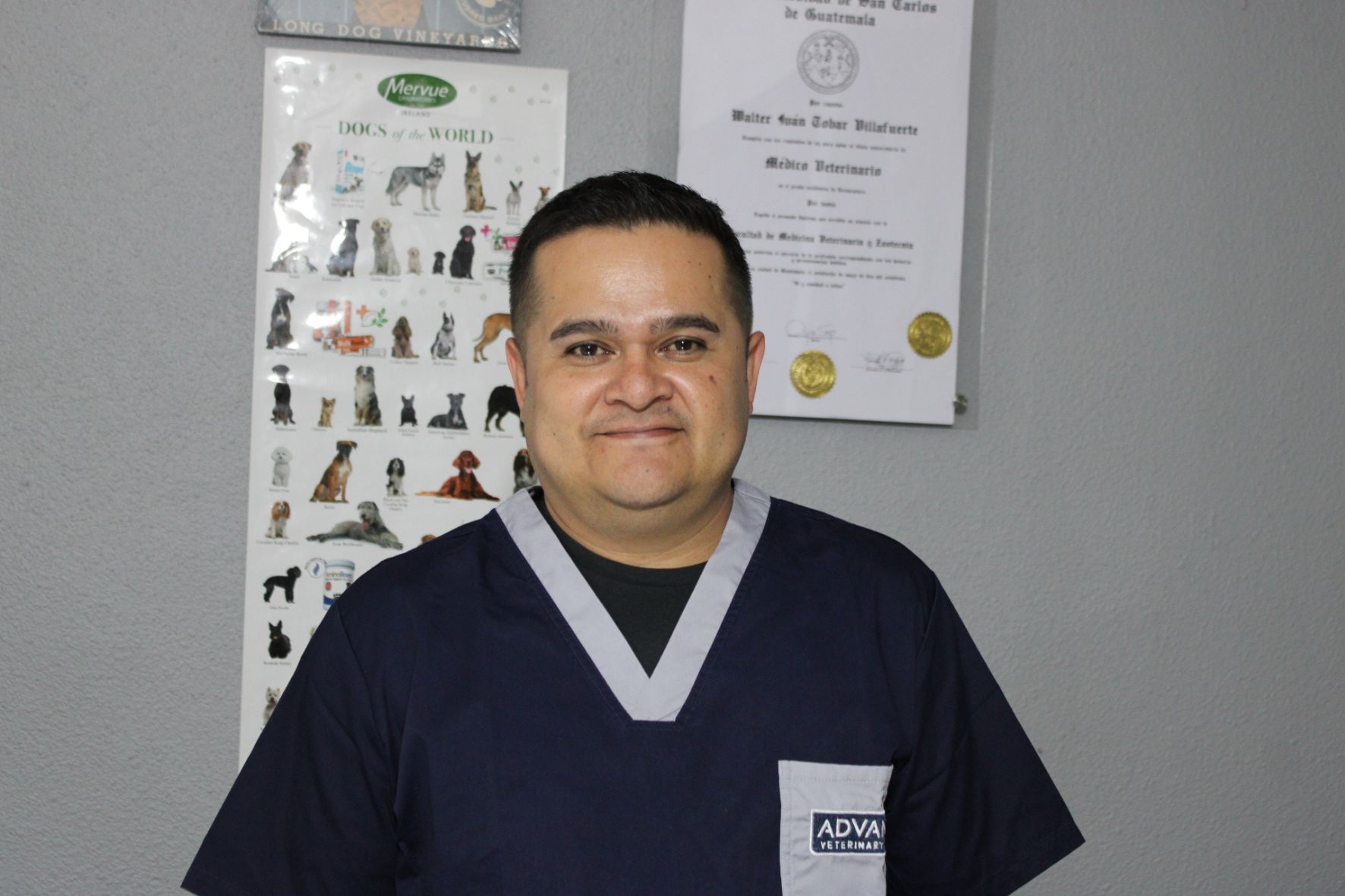 El veterinario Iván Tobar recomienda evitar que los cachorros sin inmunización completa tengan contacto con perros desconocidos, espacios públicos u objetos que puedan estar contaminados. (Foto: Allison Bonilla / AUN)