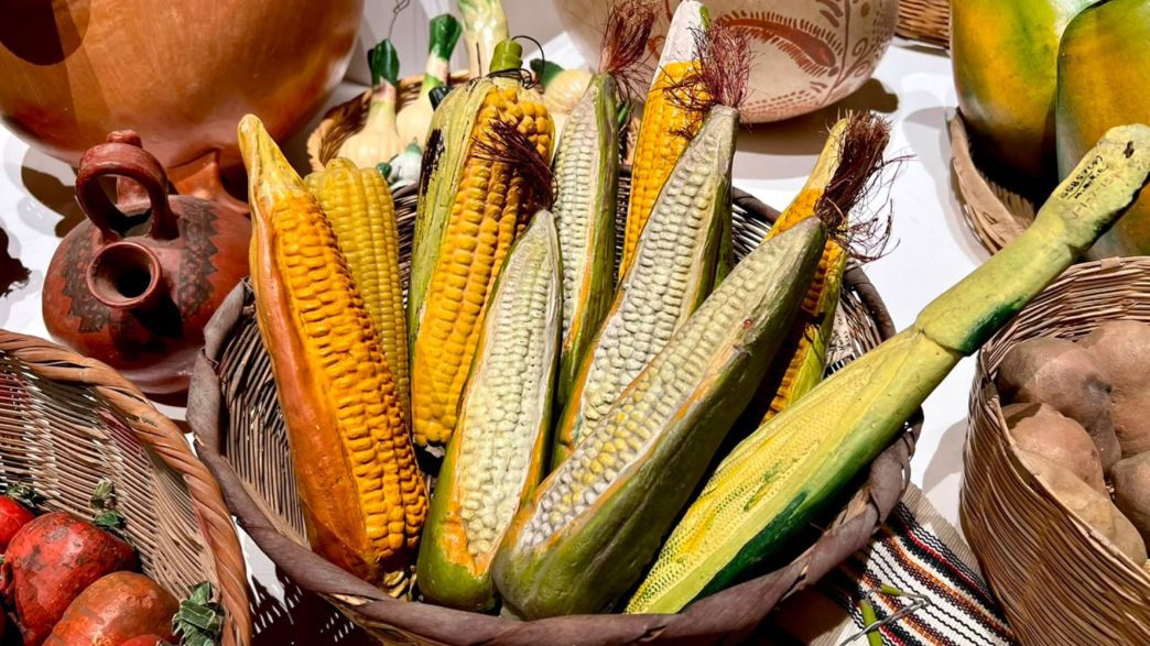 El maíz ocupa alrededor del 10.19 % del territorio nacional, con más de 1.1 millones de hectáreas cultivadas, según datos del MAGA. (Foto: Kélita Pérez / AUN)