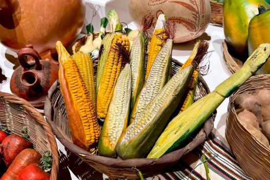 El maíz ocupa alrededor del 10.19 % del territorio nacional, con más de 1.1 millones de hectáreas cultivadas, según datos del MAGA. (Foto: Kélita Pérez / AUN)