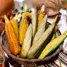 El maíz ocupa alrededor del 10.19 % del territorio nacional, con más de 1.1 millones de hectáreas cultivadas, según datos del MAGA. (Foto: Kélita Pérez / AUN)