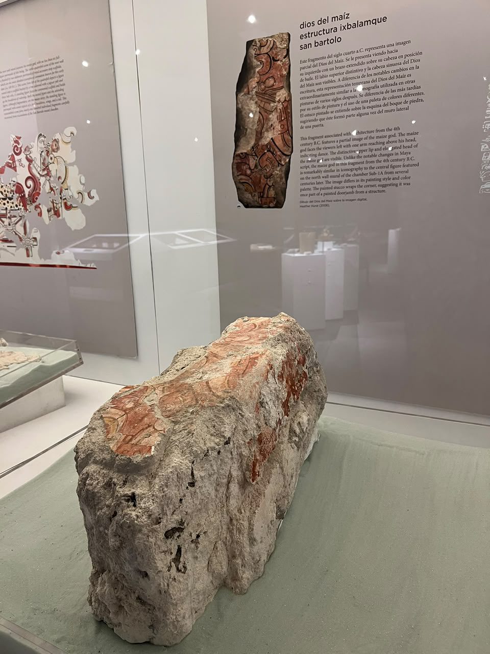Además de su importancia económica y alimentaria, el maíz mantiene un profundo significado histórico y espiritual dentro de la cosmovisión de los pueblos mayas. (Foto: Kélita Pérez / AUN)