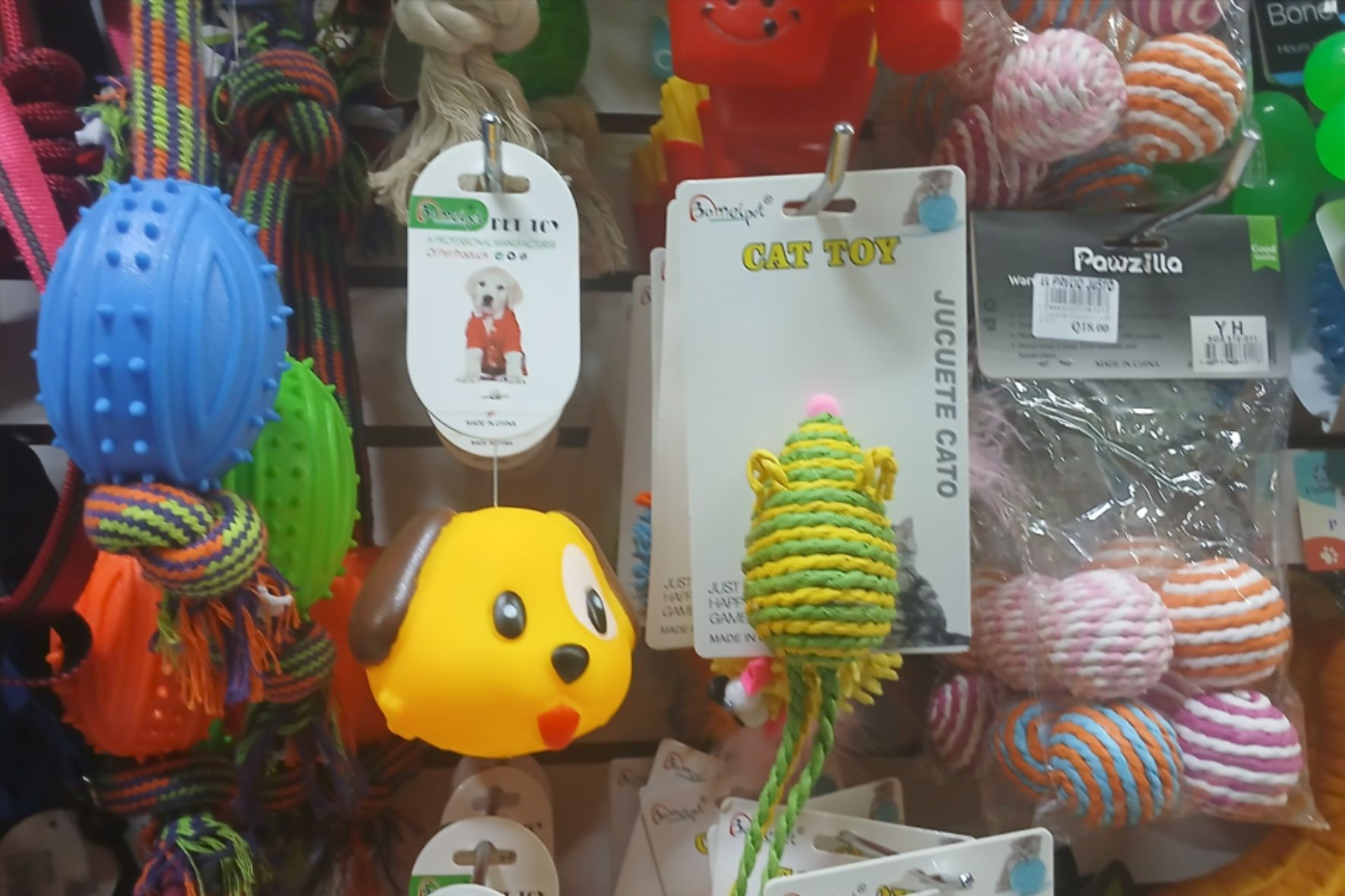 La sensibilización y educación de la población cambia el trato hacia las mascotas no solo en su alimentación, si no todos los cuidados hacia las mascotas. Foto: (Jessica Chan / AUN)