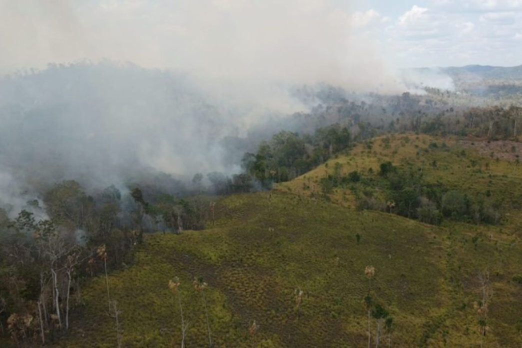 Los bosques de Guatemala enfrentan amenazas por la expansión agrícola y ganadera, los incendios forestales y el crecimiento de las áreas urbanas. (Foto: Conap / AUN)