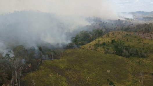 Los bosques de Guatemala enfrentan amenazas por la expansión agrícola y ganadera, los incendios forestales y el crecimiento de las áreas urbanas. (Foto: Conap / AUN)