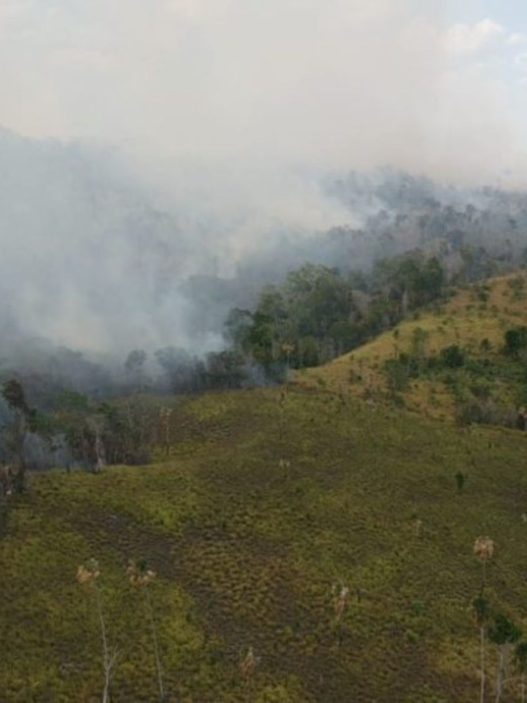 Los bosques de Guatemala enfrentan amenazas por la expansión agrícola y ganadera, los incendios forestales y el crecimiento de las áreas urbanas. (Foto: Conap / AUN)