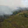 Los bosques de Guatemala enfrentan amenazas por la expansión agrícola y ganadera, los incendios forestales y el crecimiento de las áreas urbanas. (Foto: Conap / AUN)