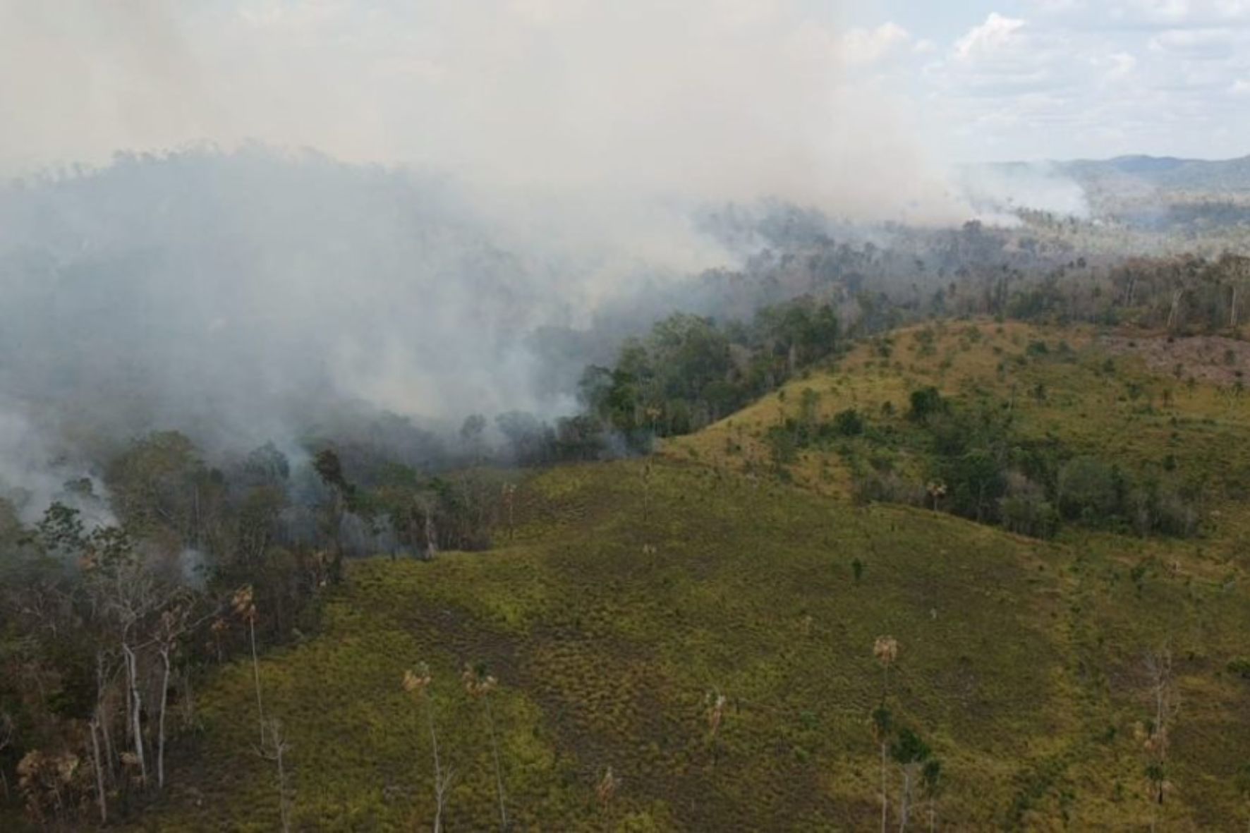 Los bosques de Guatemala enfrentan amenazas por la expansión agrícola y ganadera, los incendios forestales y el crecimiento de las áreas urbanas. (Foto: Conap / AUN)