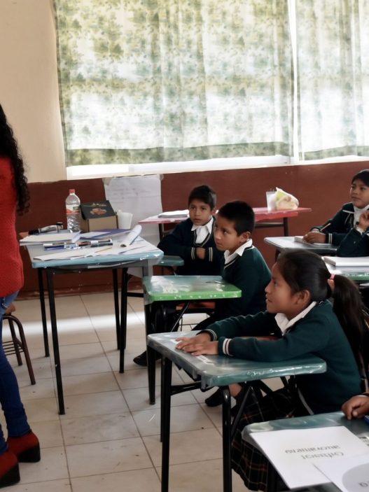 El uso estratégico de imágenes, textos y otros recursos visuales puede facilitar la comprensión de contenidos académicos. (Foto: MIDEDUC / AUN)