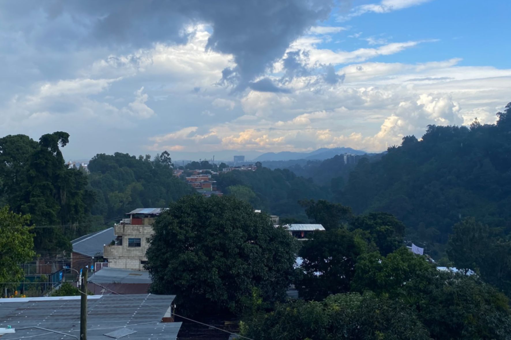 La falta de planificación y ordenamiento territorial favorece la pérdida de áreas boscosas y aumenta la presión sobre los ecosistemas urbanos. (Foto: Izabel López / AUN)
