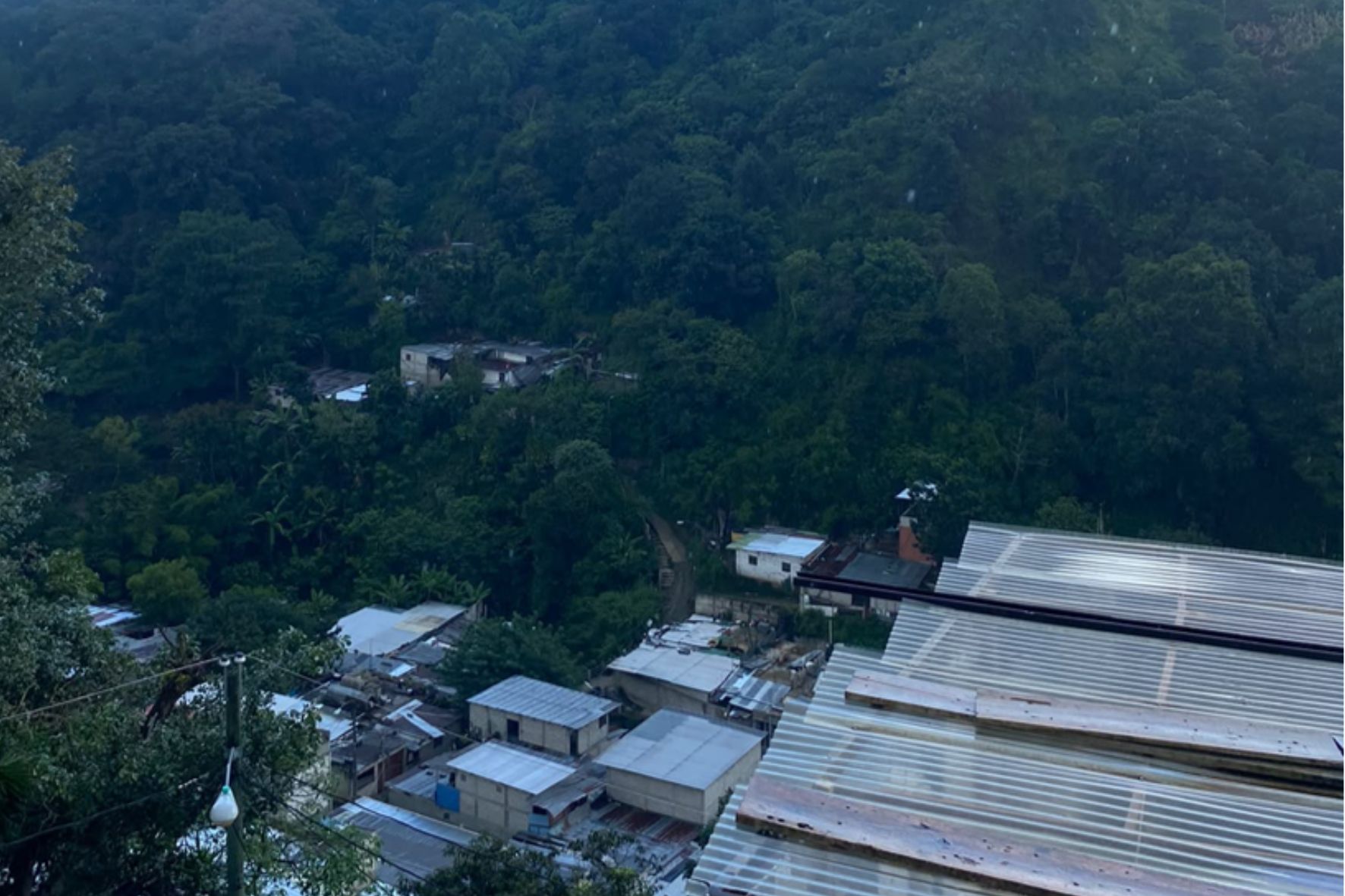 La reducción de áreas verdes y la fragmentación de los bosques urbanos ponen en riesgo la biodiversidad, los corredores biológicos y los espacios naturales de las ciudades. (Foto: Izabel López / AUN)