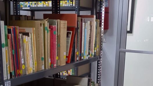 La Biblioteca Rivera Tyng, de la Fundación La Ruta Maya, resguarda más de 10 mil libros sobre arqueología e historia. (Foto: Diego Bermúdez / AUN)